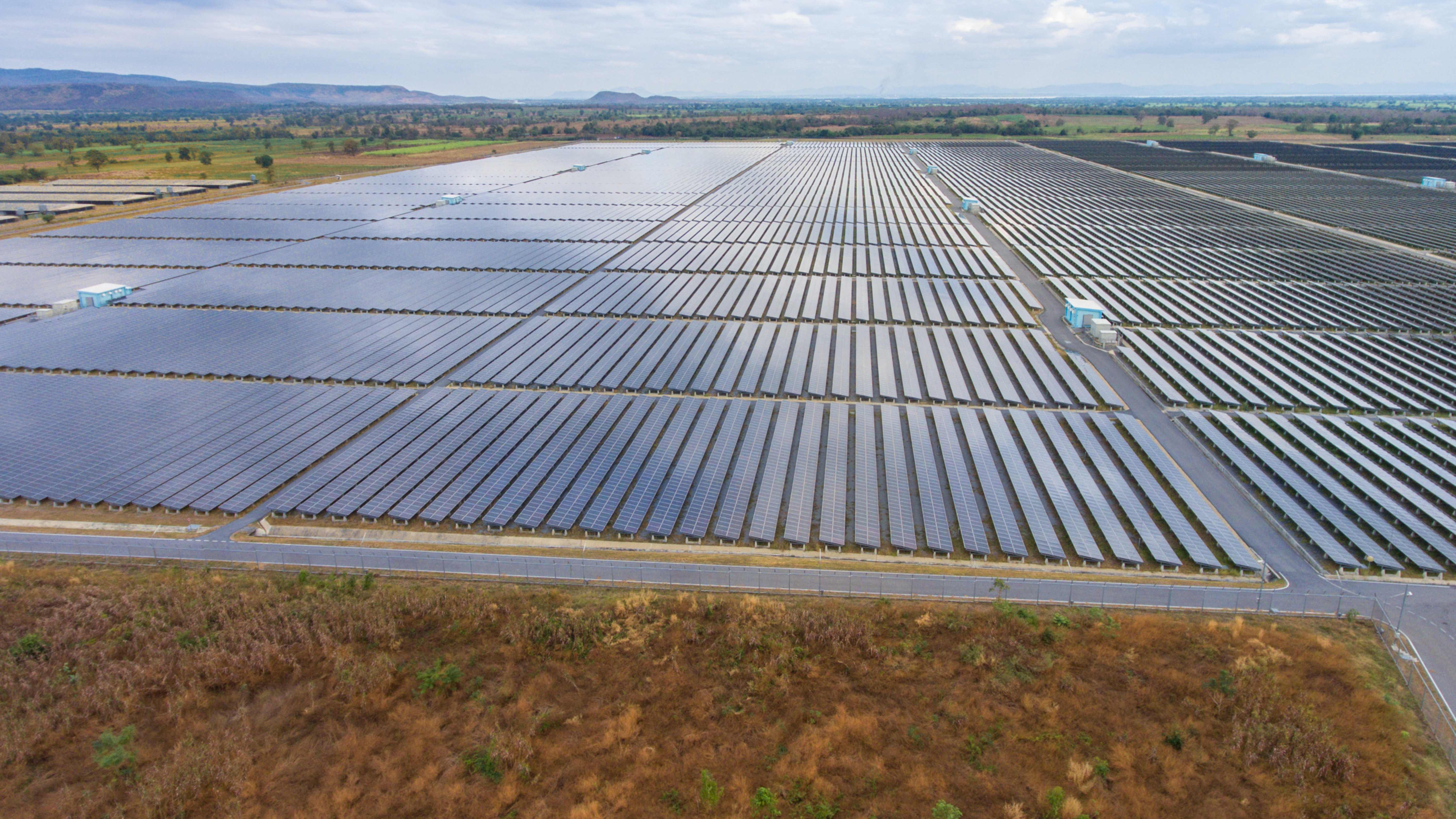 Tender Identification